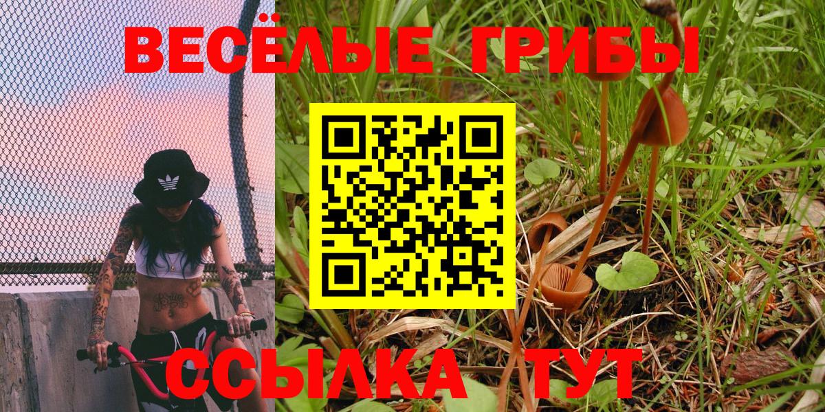 Менделеевск  Галлюциногенные грибы мухоморы  Вход с VPN 